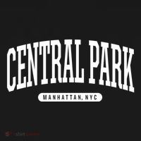 Central Park Manhattan Ny Souvenirs Nyc Borough Central Park Manhattan New York T-Shirt thumb 7