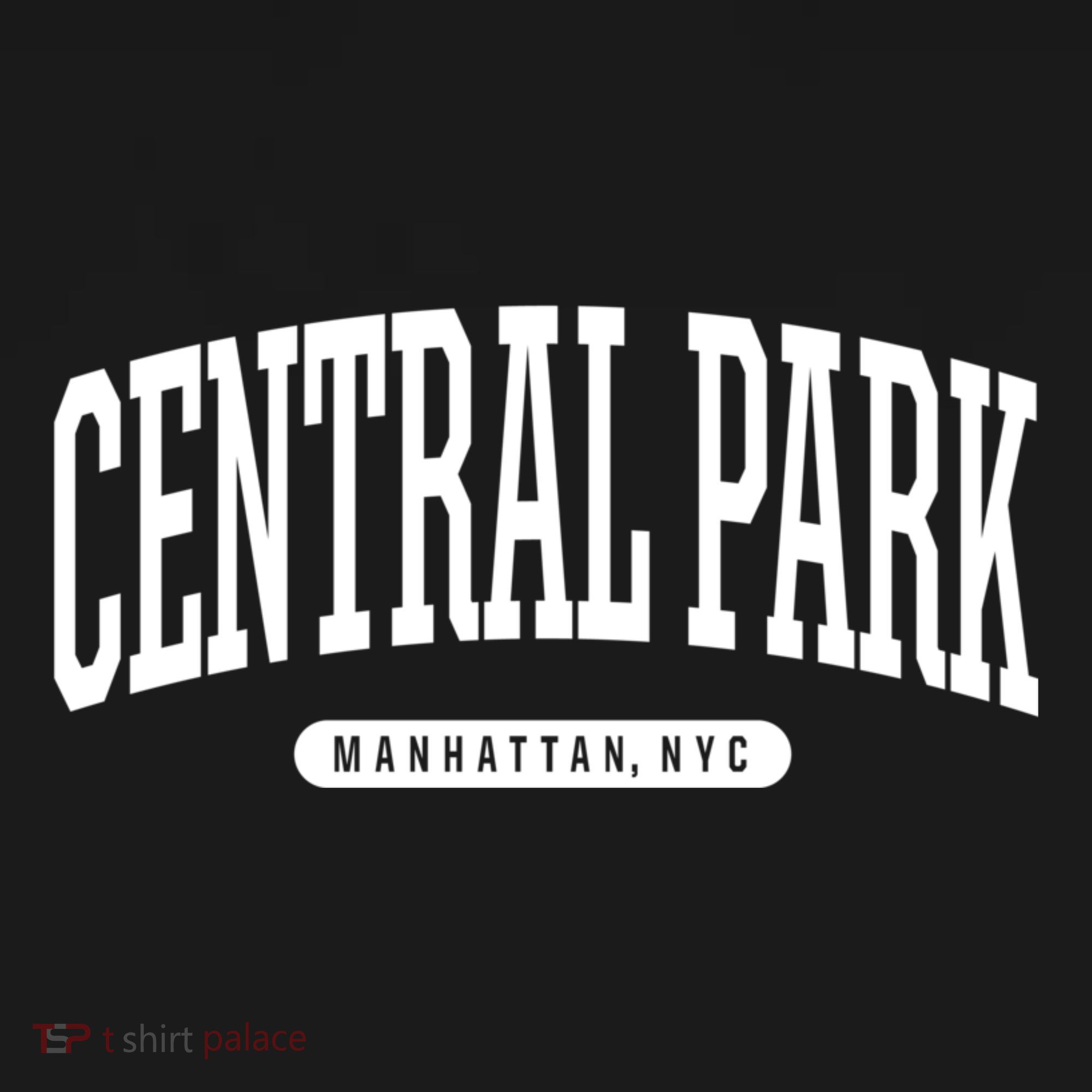 Central Park Manhattan Ny Souvenirs Nyc Borough Central Park Manhattan New York Women's Hoodie