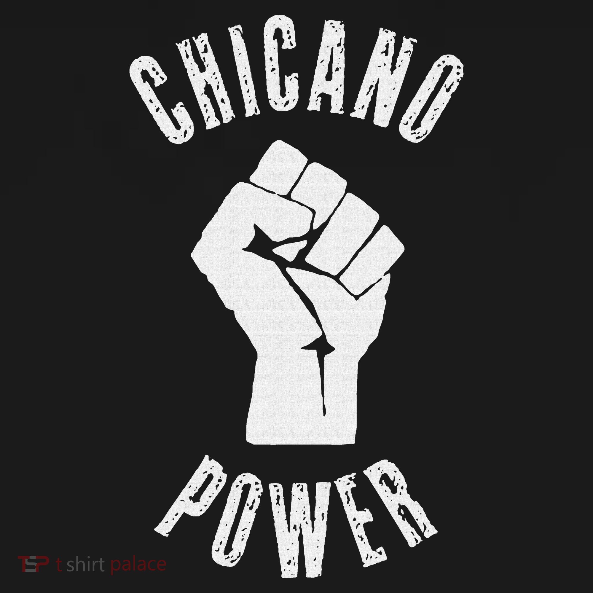 Chicano Power Mexican Mexico Chicanismo Latina Latinx Raza Visor