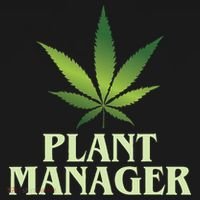 Cannabis Plant Manager Funny Marijuana Gift Visor thumb 3