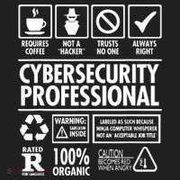 Cybersecurity Professional Not A Hacker Plastic Christmas Ball Ornament thumb 1