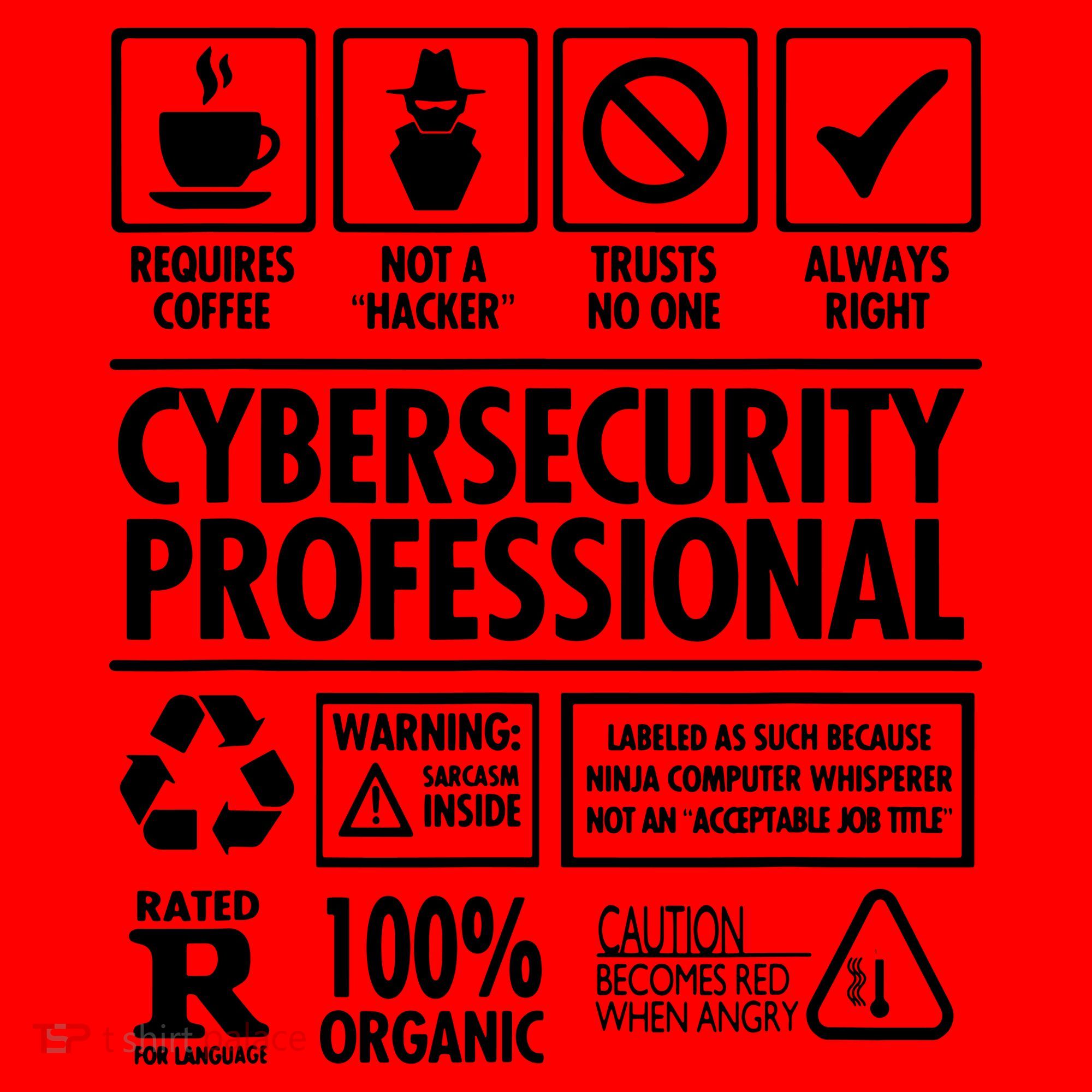 Cybersecurity Professional Not A Hacker Santa Hat