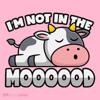 Cow Pun Not In The Mood Calf & Cattle Coaster thumb 2