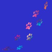 Colorful Paws Of Dog Or Cat For Animal Lovers Cute Gift T-Shirt thumb 7