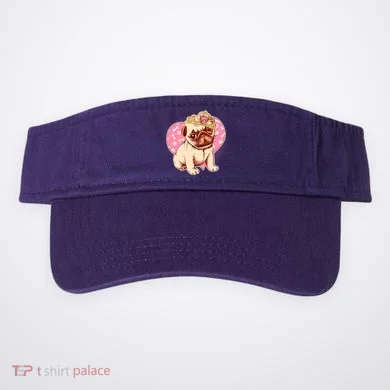 Visor