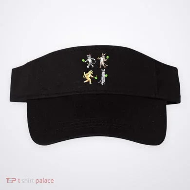 Visor