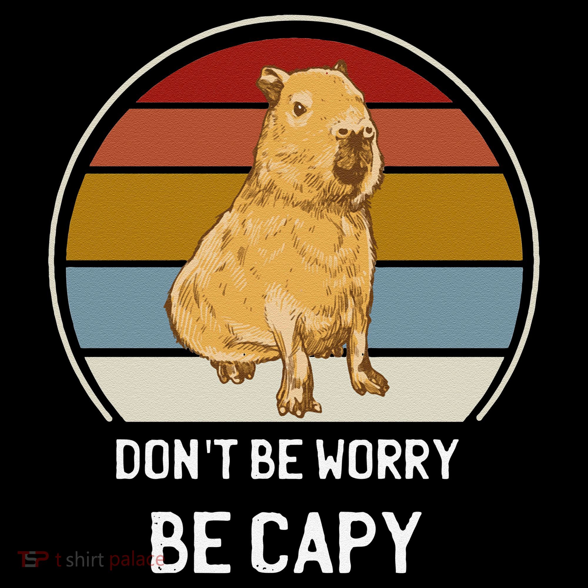 Capybara Peluches Party Peluche Capybara Big Capybara Plush Apron