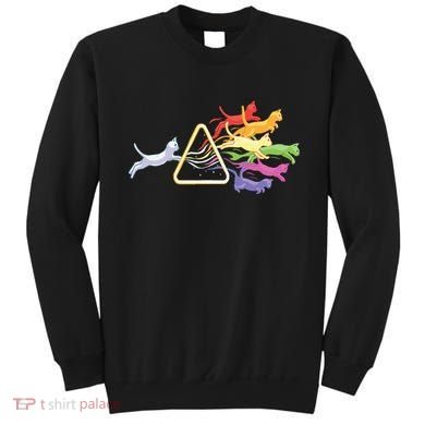 Cat Prism Rainbow Light Funny Physics Science Spectral Cat Sweatshirt