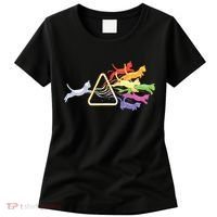 Cat Prism Rainbow Light Funny Physics Science Spectral Cat Women's T-Shirt thumb 0