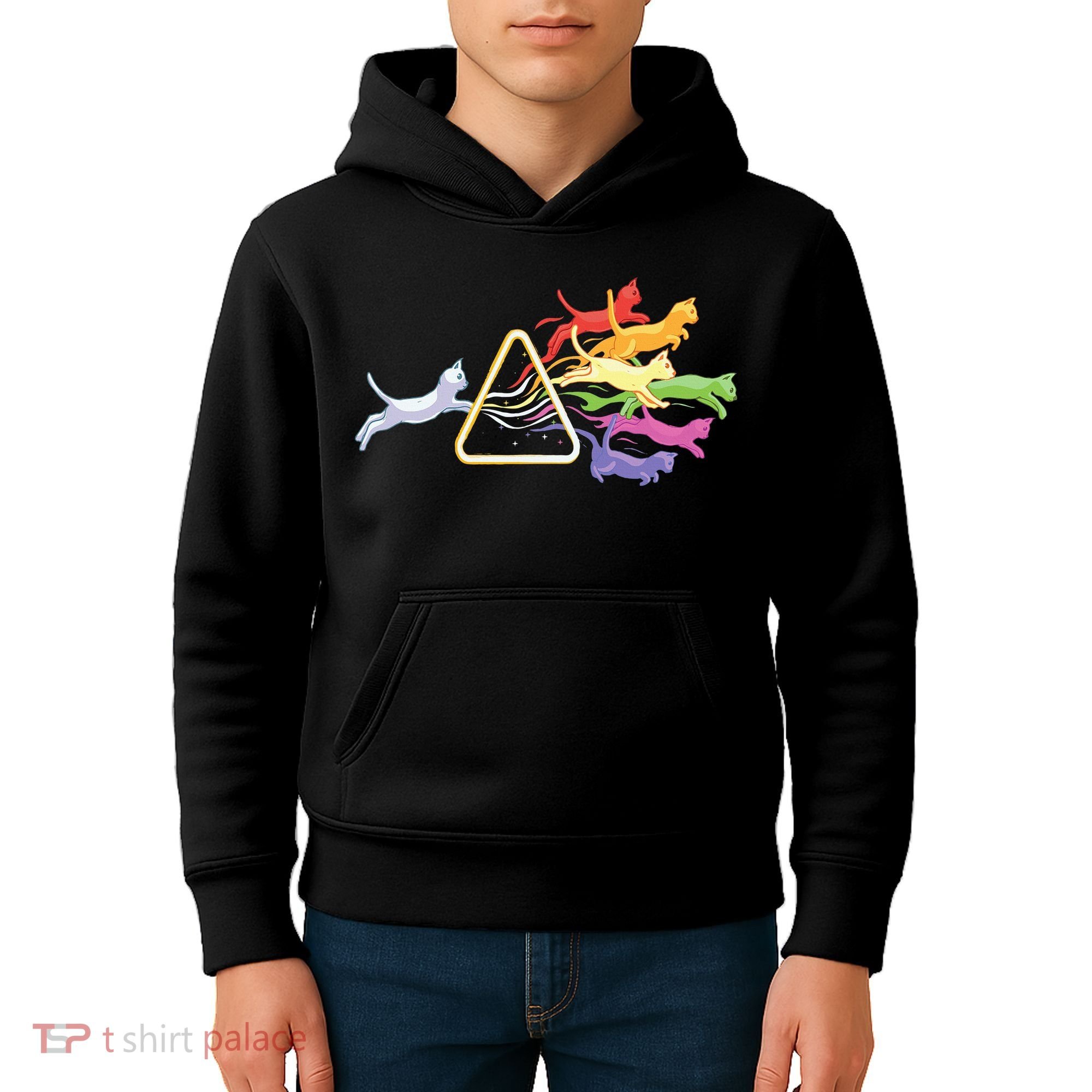 Cat Prism Rainbow Light Funny Physics Science Spectral Cat Kids Hoodie