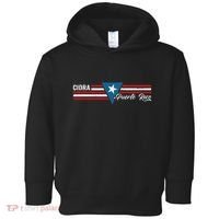 Cidra Puerto Rico Toddler Hoodie thumb 0
