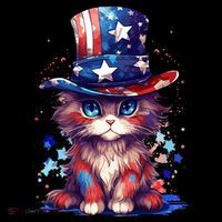 Cute Patriotic Red White And Blue Kitten Cat Women's Hoodie thumb 2