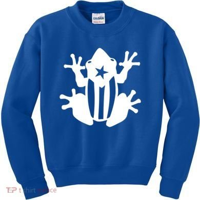 Coqui Puerto Rico Flag Gift Kids Sweatshirt