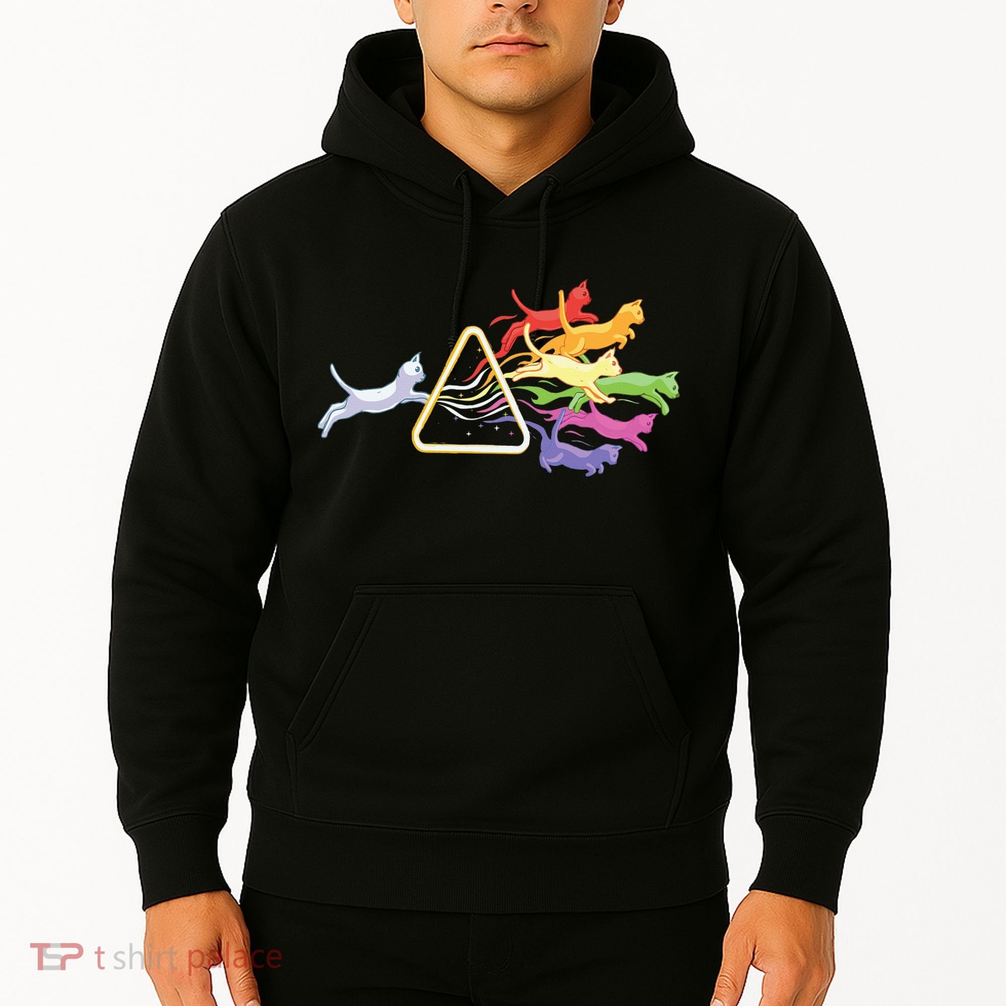 Cat Prism Rainbow Light Funny Physics Science Spectral Cat Hoodie