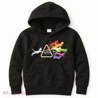 Cat Prism Rainbow Light Funny Physics Science Spectral Cat Kids Hoodie thumb 0