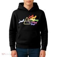 Cat Prism Rainbow Light Funny Physics Science Spectral Cat Kids Hoodie thumb 4