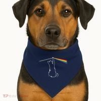 Cat Prism Rainbow Light Funny Physics Science Spectral Cat USA-Made Doggie Bandana thumb 1