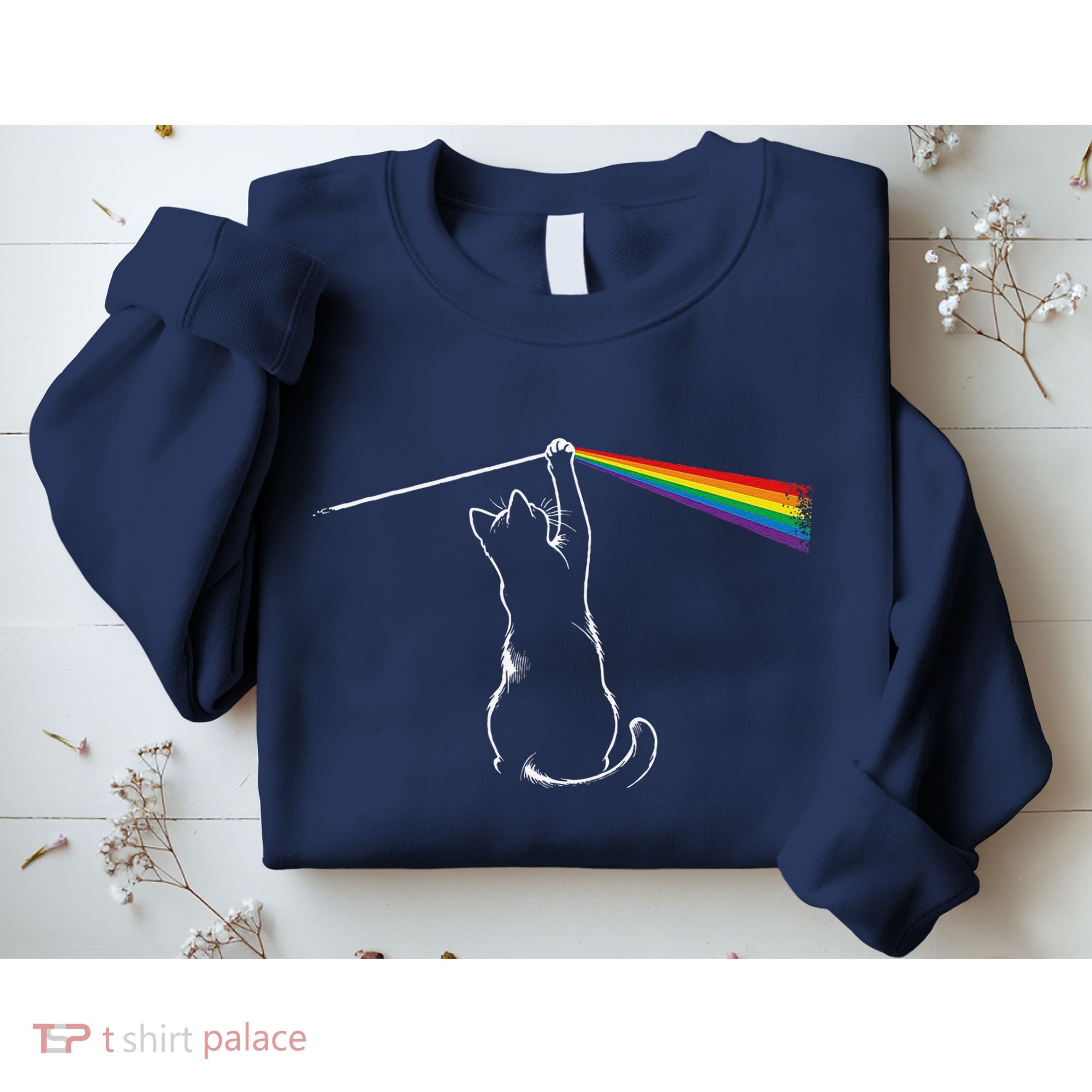 Cat Prism Rainbow Light Funny Physics Science Spectral Cat Sweatshirt