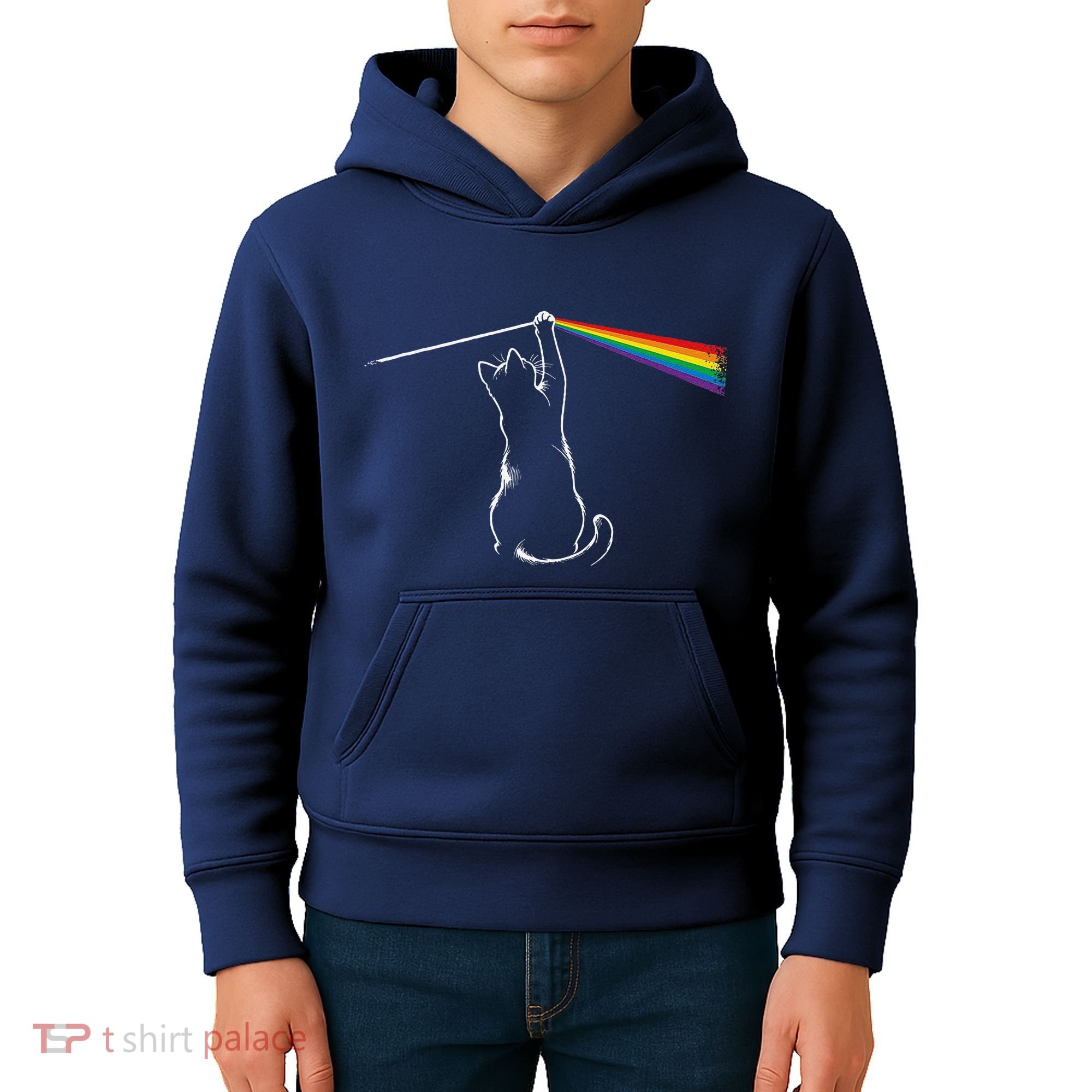 Cat Prism Rainbow Light Funny Physics Science Spectral Cat Kids Hoodie