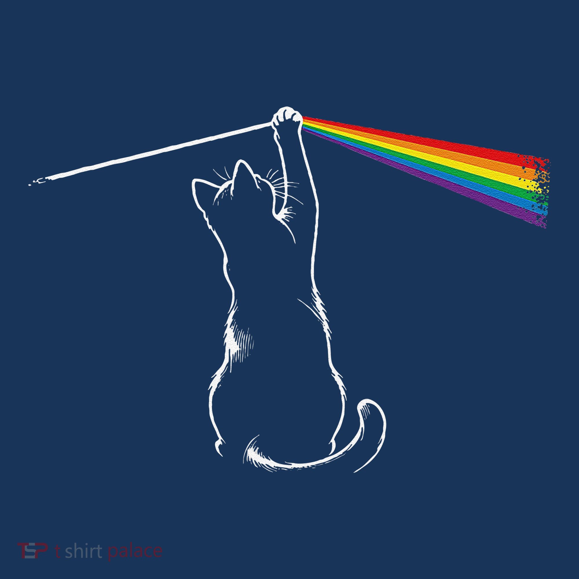 Cat Prism Rainbow Light Funny Physics Science Spectral Cat Kids Hoodie