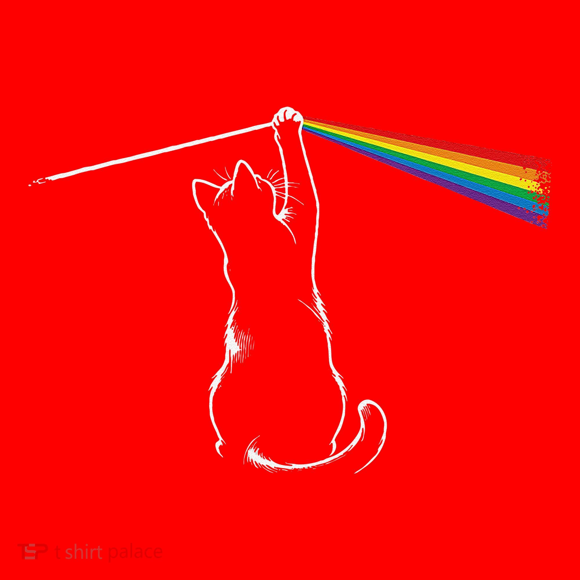 Cat Prism Rainbow Light Funny Physics Science Spectral Cat Santa Hat