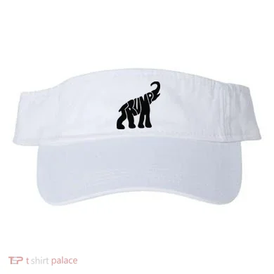 Visor