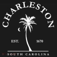Charleston Palm Tree Swimming Scuba Novelty Gift SC Women's Hoodie thumb 2