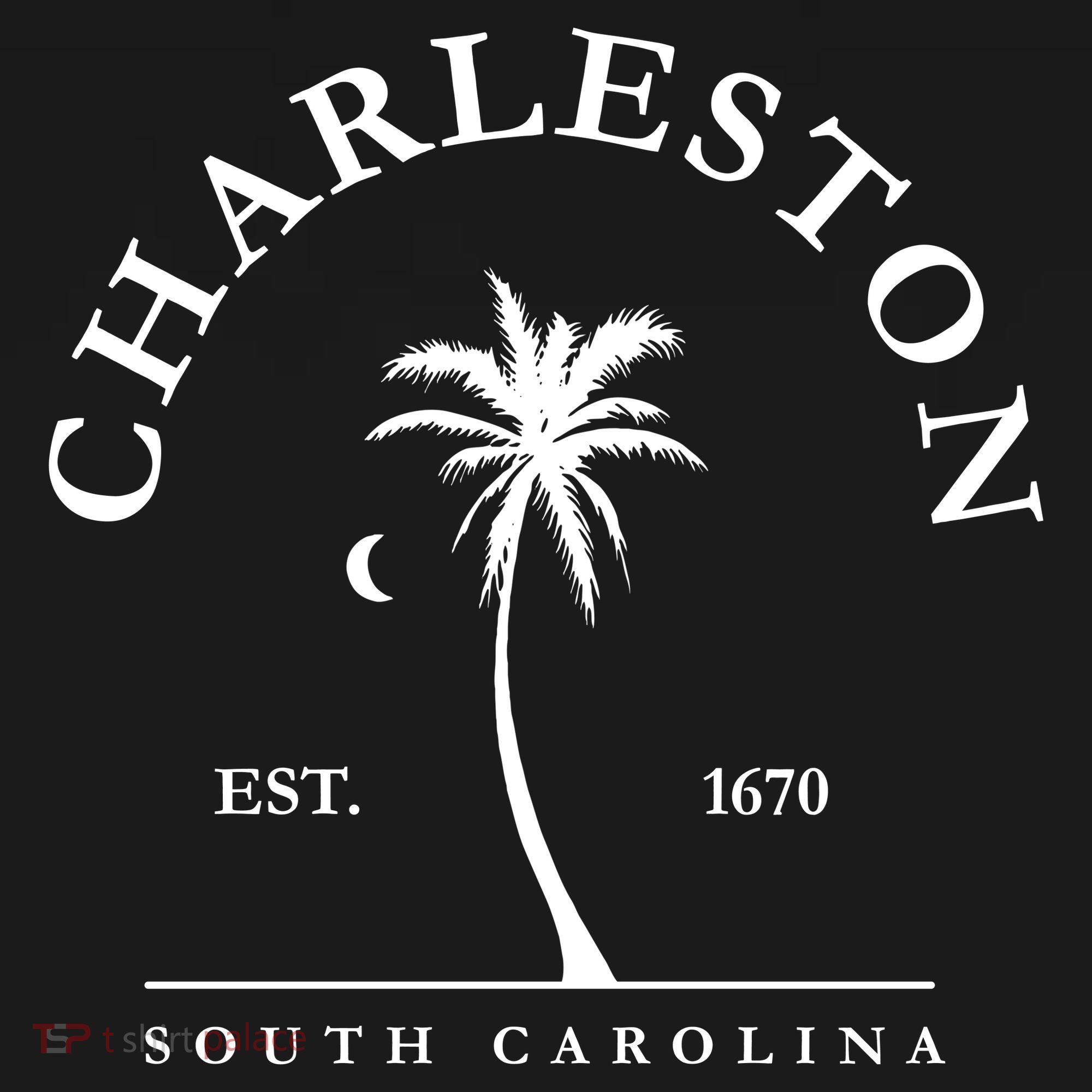 Charleston Palm Tree Swimming Scuba Novelty Gift SC Kids Sweatshirt