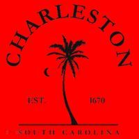 Charleston Palm Tree Swimming Scuba Novelty Gift SC Santa Hat thumb 1