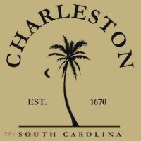 Charleston Palm Tree Swimming Scuba Novelty Gift SC Hoodie thumb 7