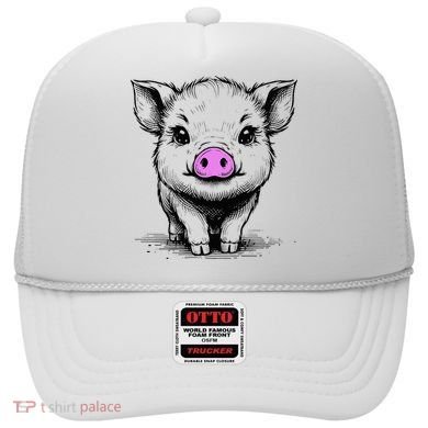 Cute Pig With Nose Drawing Hat