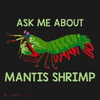 Crustacean Quote Ask Me About Mantis Shrimp Bucket Hat thumb 4