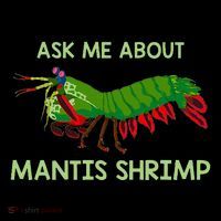 Crustacean Quote Ask Me About Mantis Shrimp Women's Hoodie thumb 2