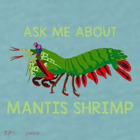 Crustacean Quote Ask Me About Mantis Shrimp Sueded Cloud Jersey T-Shirt thumb 2