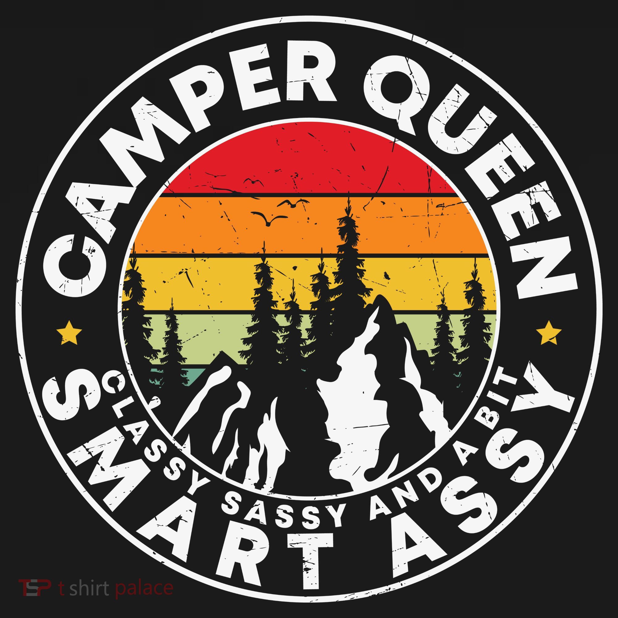 Camper Queen Smart Assy , Classy Sassy And A Bit Logo Camping Toddler Hoodie
