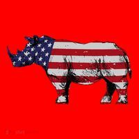 Cool Rhino Art Rhinoceros Usa Flag Santa Hat thumb 1