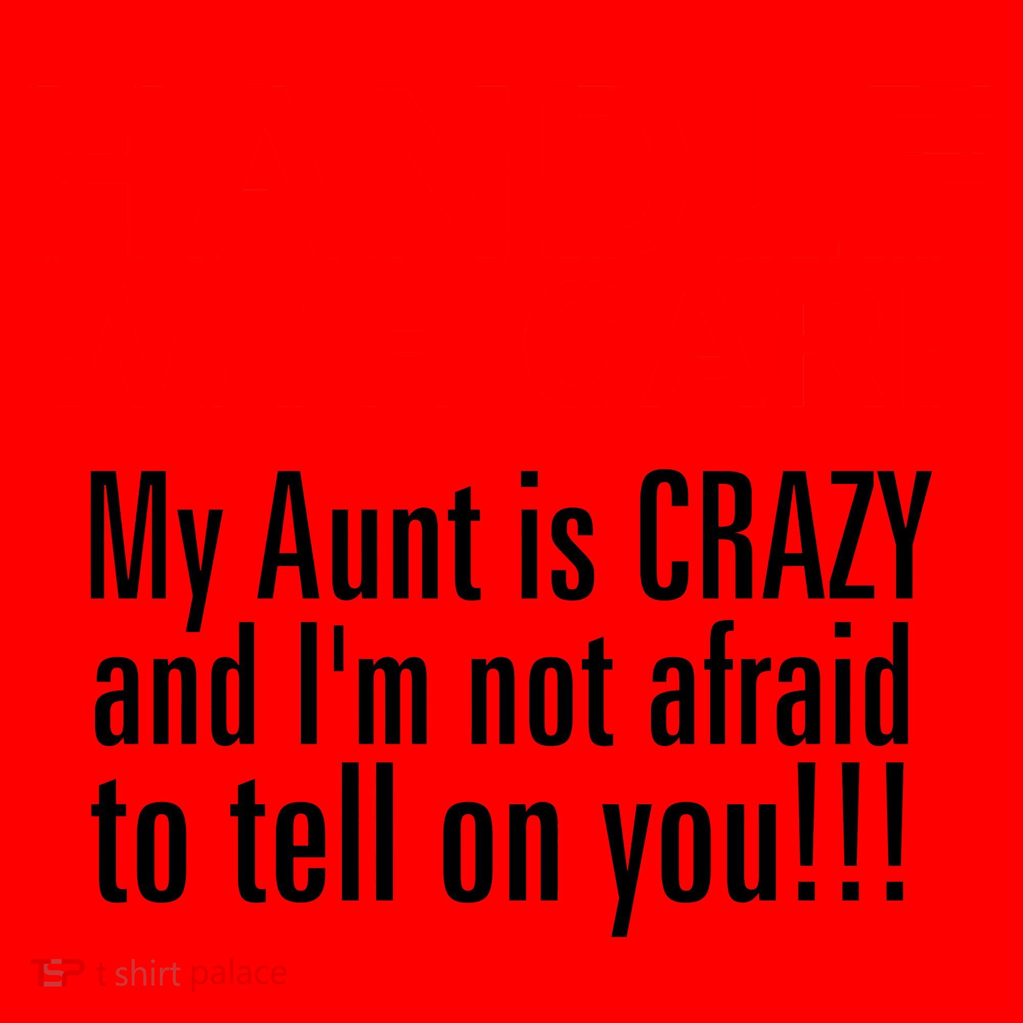 Crazy Aunt - Handle With Care Funny Santa Hat