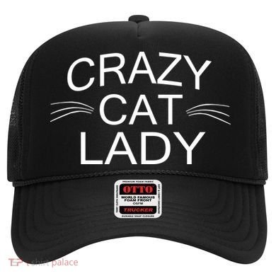 Crazy Cat Lady Whiskers Hat