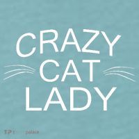 Crazy Cat Lady Whiskers Sueded Cloud Jersey T-Shirt thumb 2