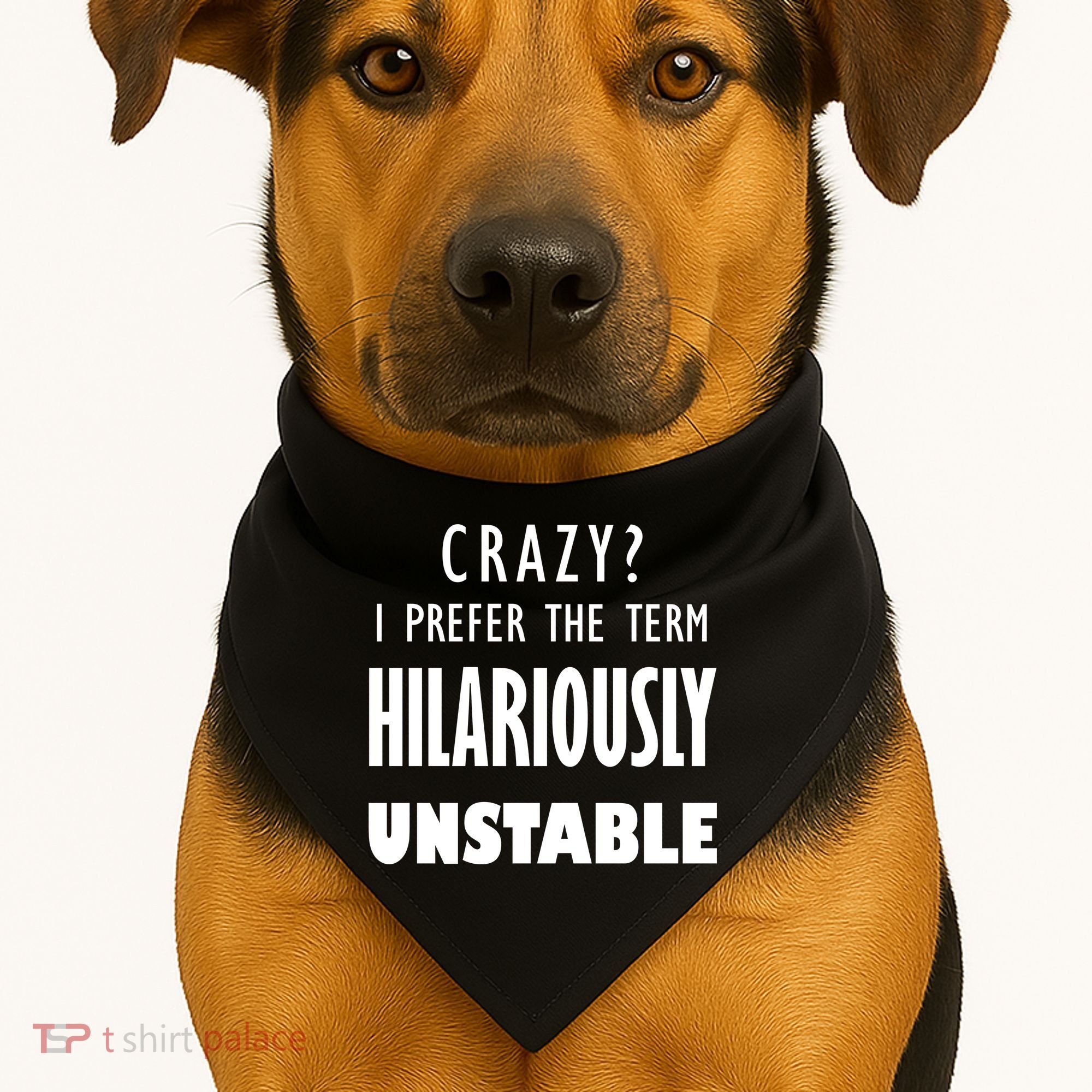 Crazy I Prefer The Term Hilariously Unstable USA-Made Doggie Bandana