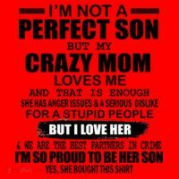 Crazy Mom And Perfect Son Funny Quote Santa Hat thumb 1