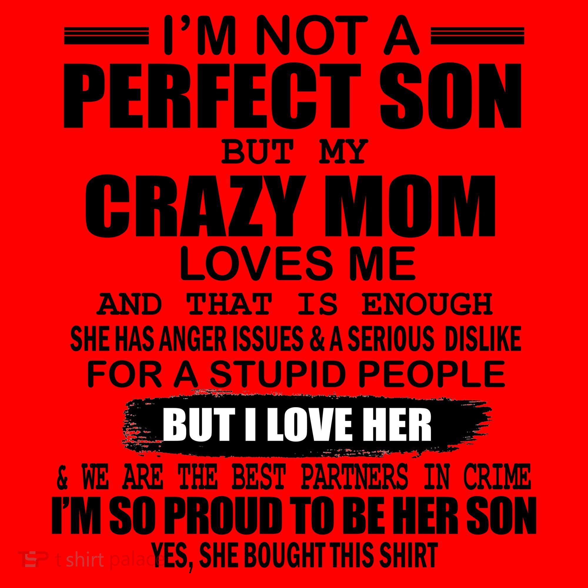 Crazy Mom And Perfect Son Funny Quote Santa Hat
