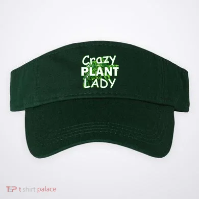 Visor