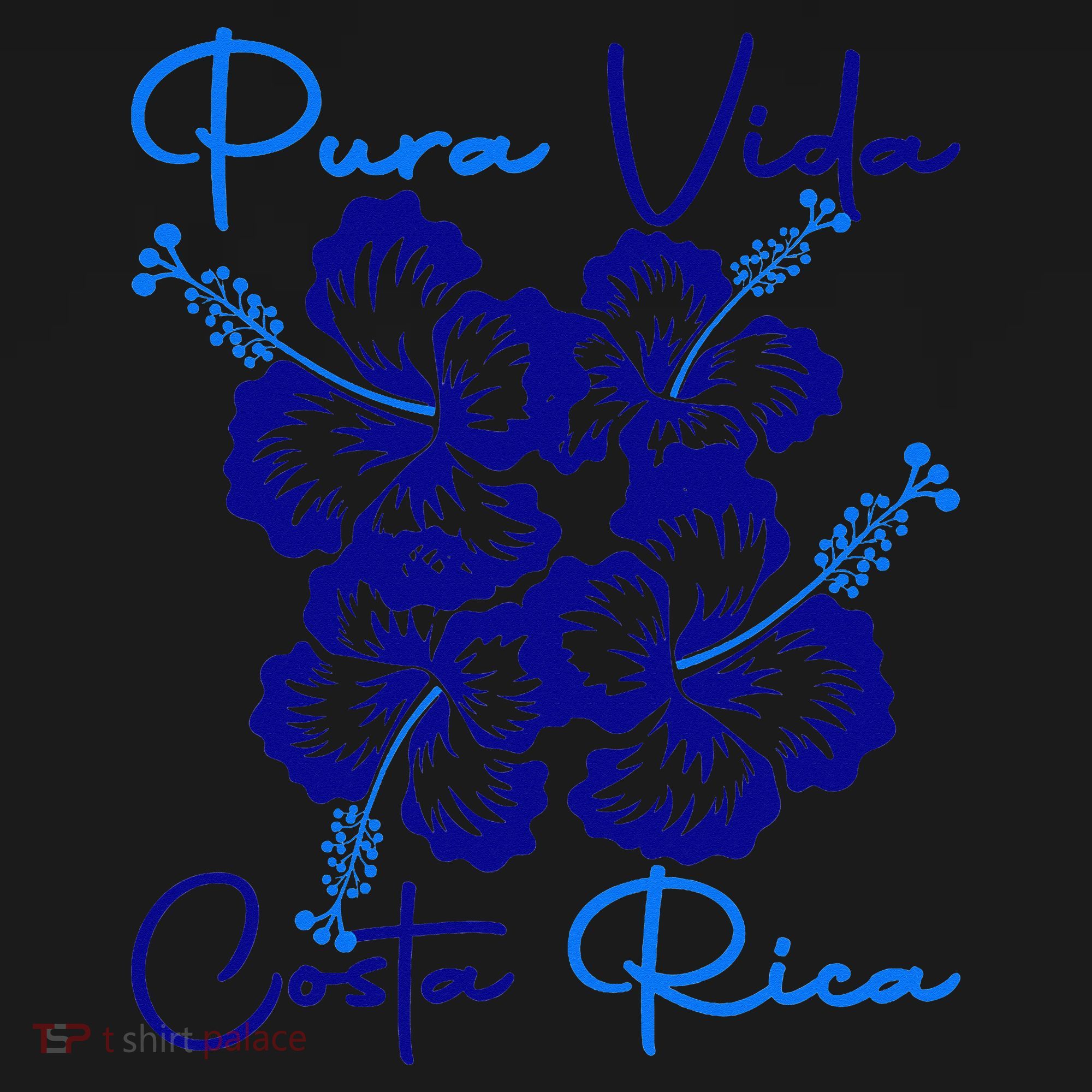 Costa Rica Beach Pura Vida Tropical Flower Family Vacation Women's Hoodie