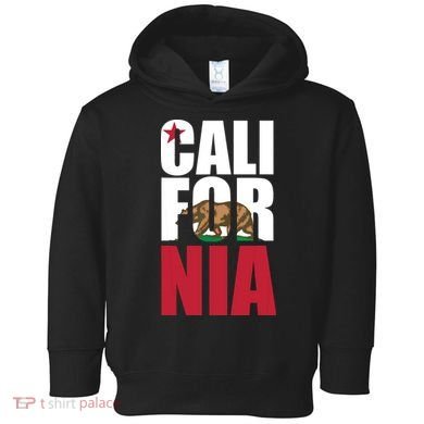 California Republic Bear T Toddler Hoodie