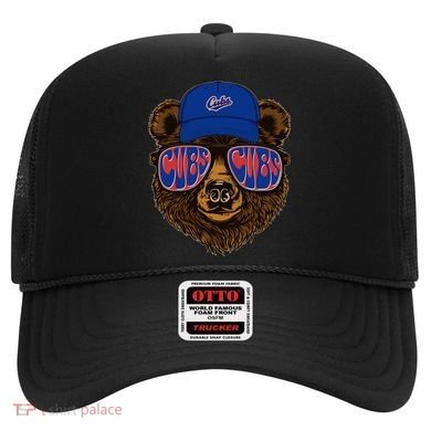 Cool Retro Cubs Bear Hat