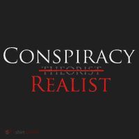 Conspiracy Realist Conspiracy Theory Beanie thumb 2