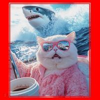 Cool Relaxed Cat on a Yacht Boat with Shark Funny Cat Meme Santa Hat thumb 1