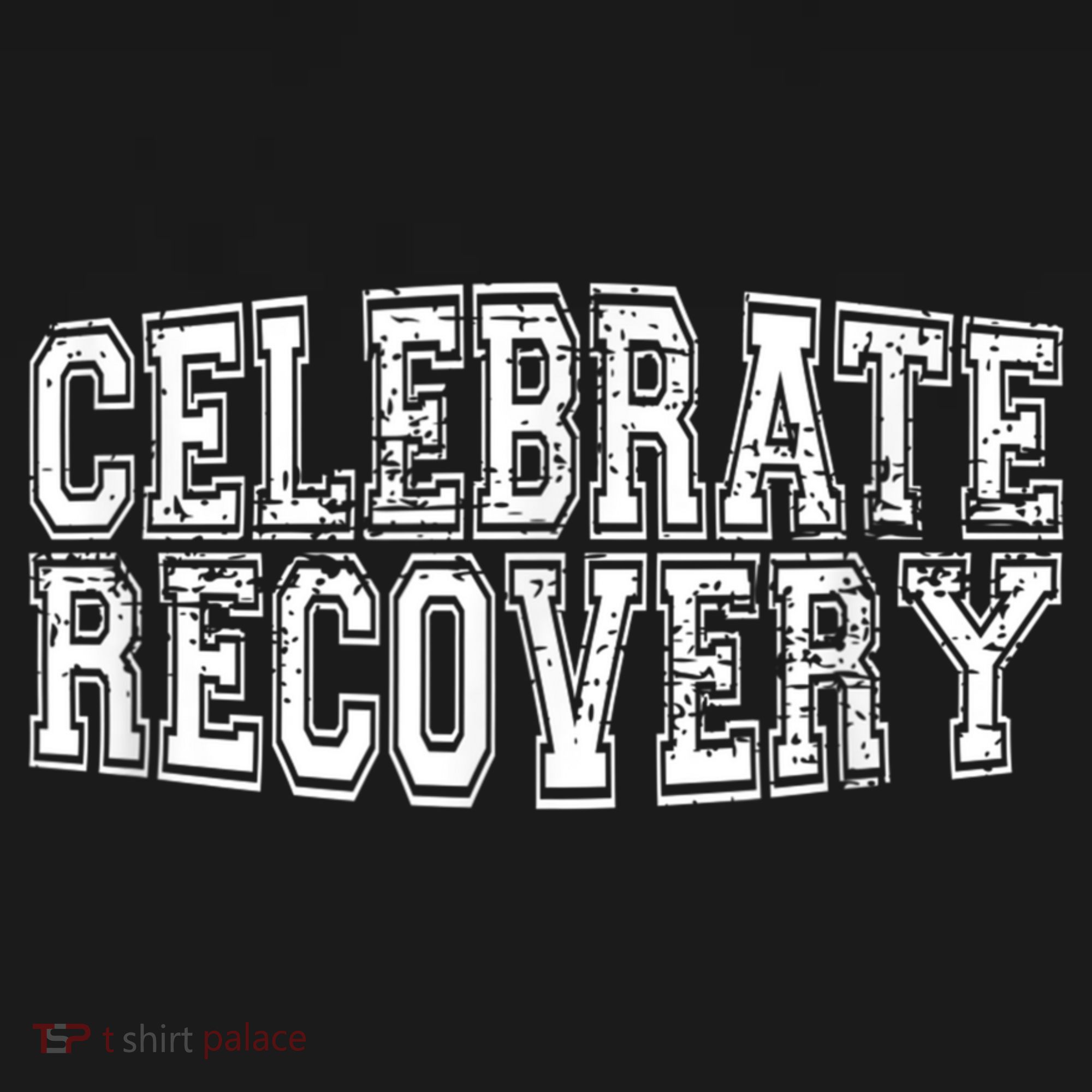 Celebrate Recovery USA-Made Doggie Bandana