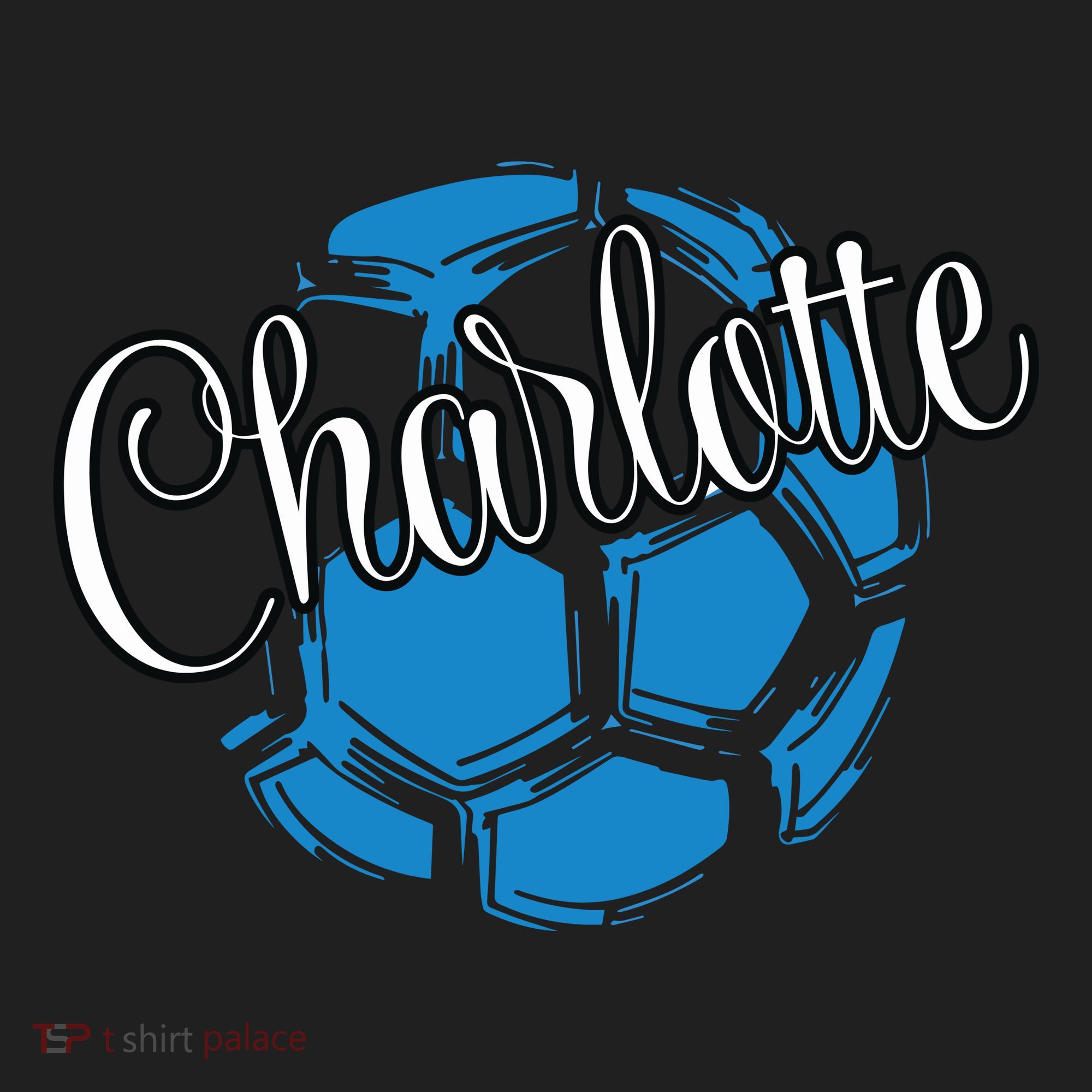 Cool Retro Charlotte Soccer Ball Hat